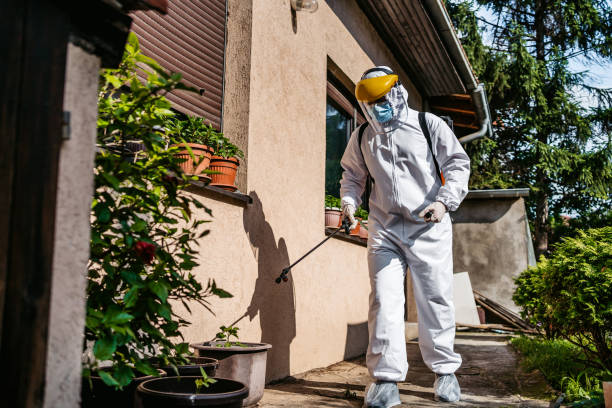 Best Rodent Control Near Me  in Pocatello, ID