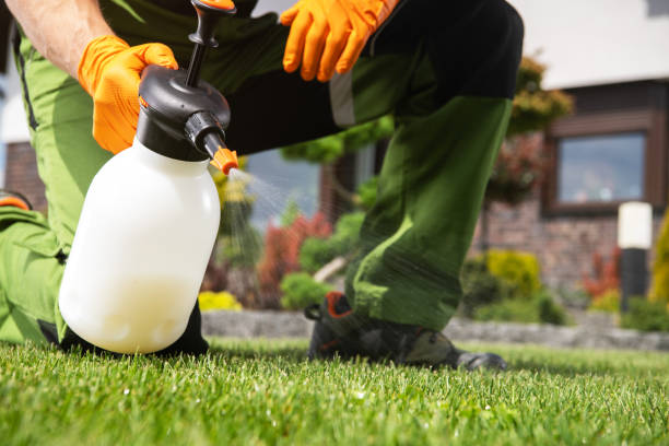 Best Bed Bug Extermination  in Pocatello, ID