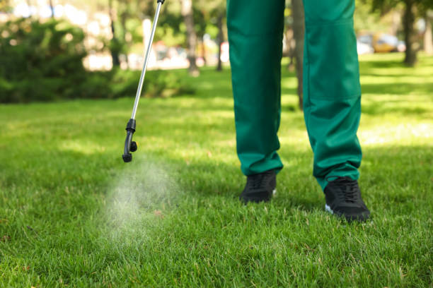 Best Affordable Pest Control Services  in Pocatello, ID