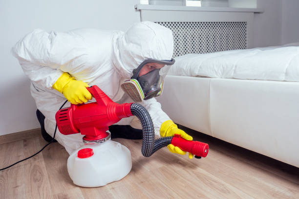 Best Flea Control Services  in Pocatello, ID