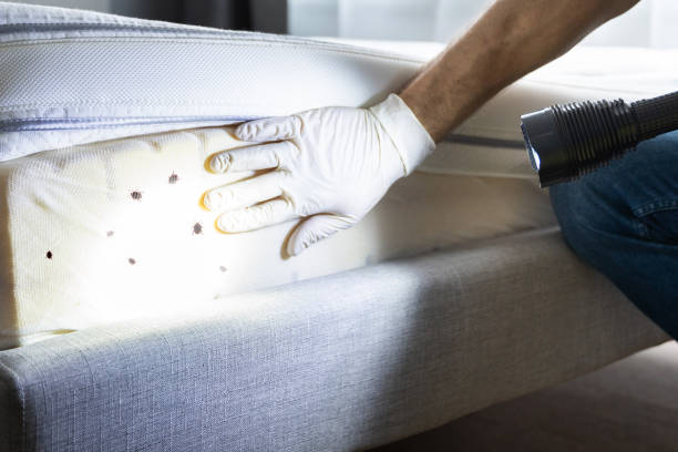 Best Commercial Pest Control Services  in Pocatello, ID