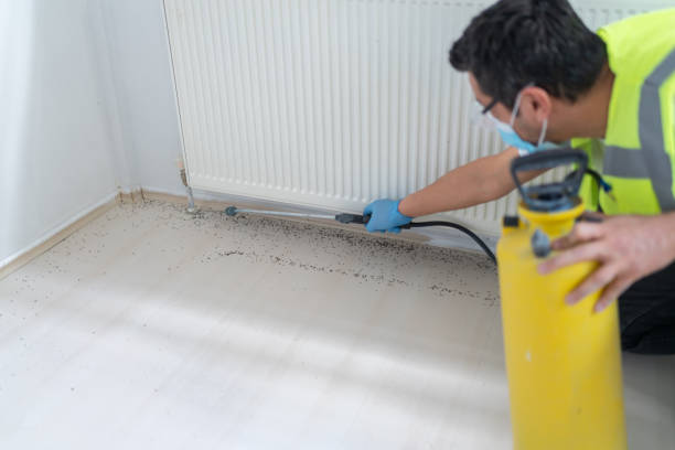 Professional Pest Control in Pocatello, ID